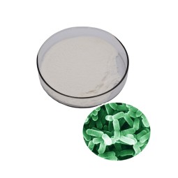 Lactobacillus Gasseri Manufacturer - High Quality Powder