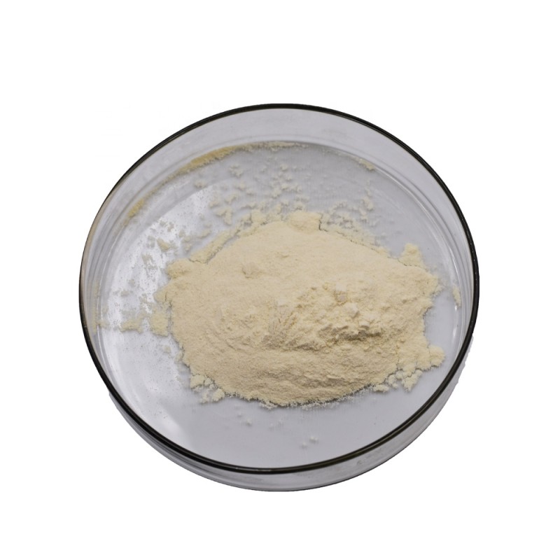 Buckhorn Plantain Extract Supplier - Seed Extract Custom