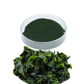 Chlorella Powder Manufacturer - USDA Organic Spirulina