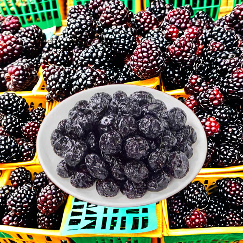 Dried Blueberries Supplier - Fresh Delicious Snack