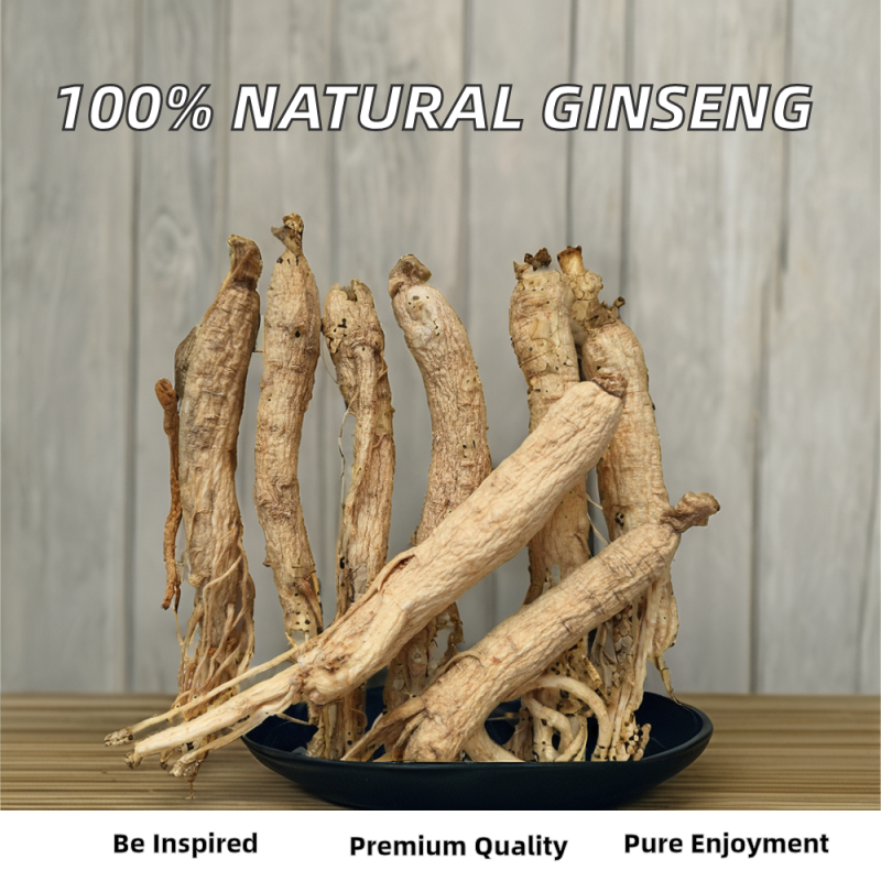 Dried Ginseng Manufacturer - Northeast Origin