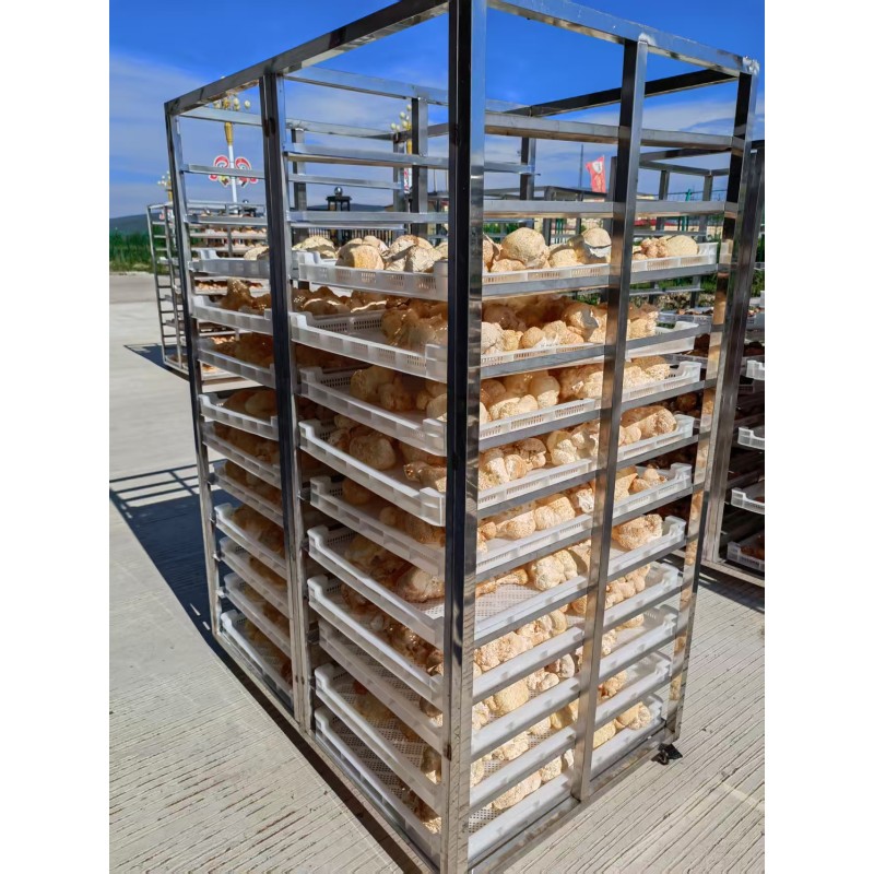 Lion's Mane Mushroom Factory - Raw Air Dried Spice