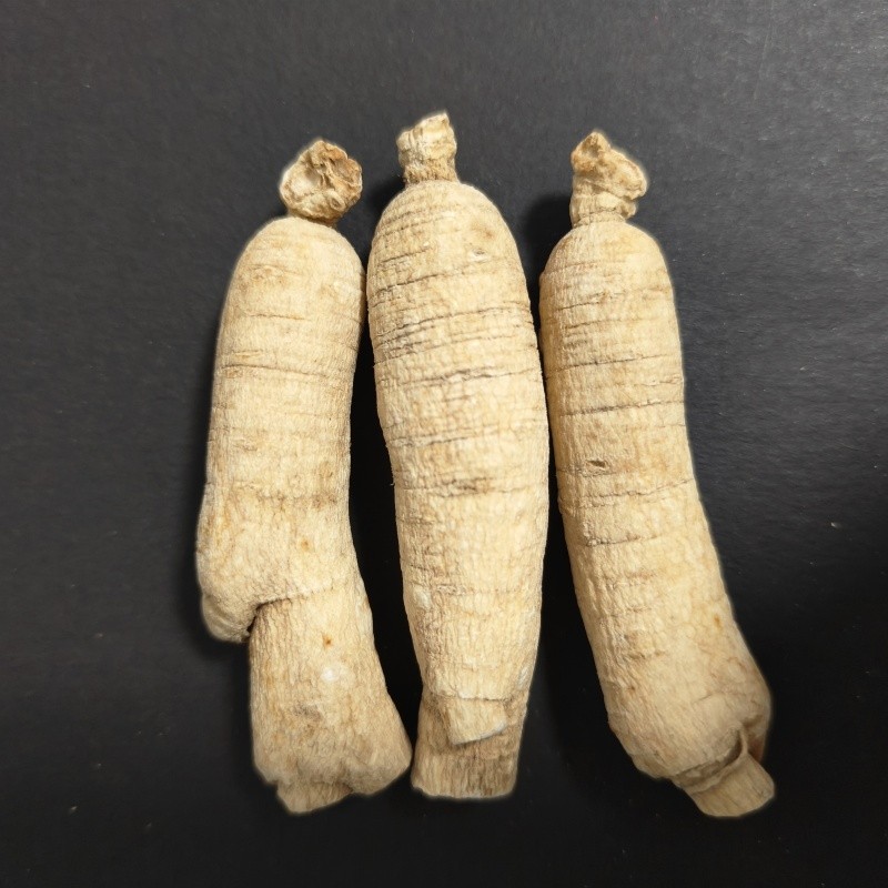 White Ginseng Supplier - Solvent Extracted Food