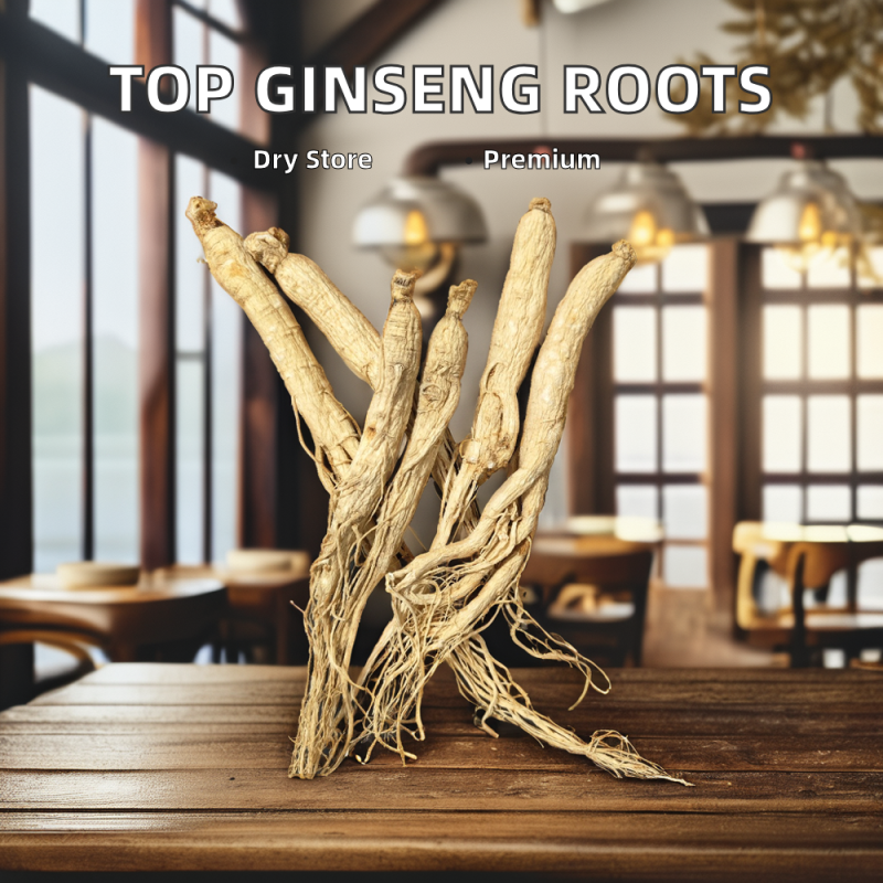Panax Ginseng Root Supplier - 6 Years Old