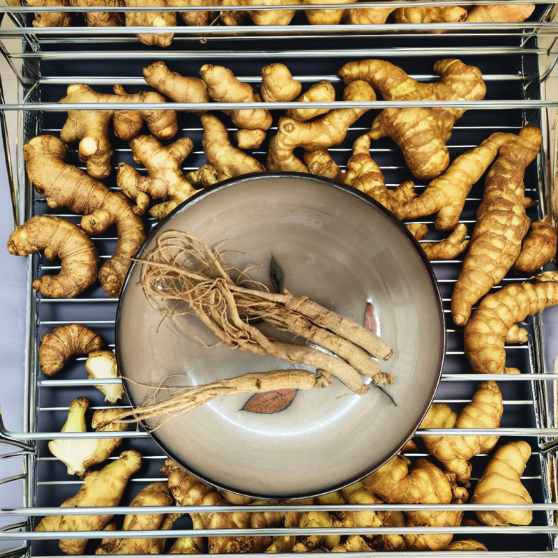 Dried Mango Exporter - Sweet Bagged Packaging