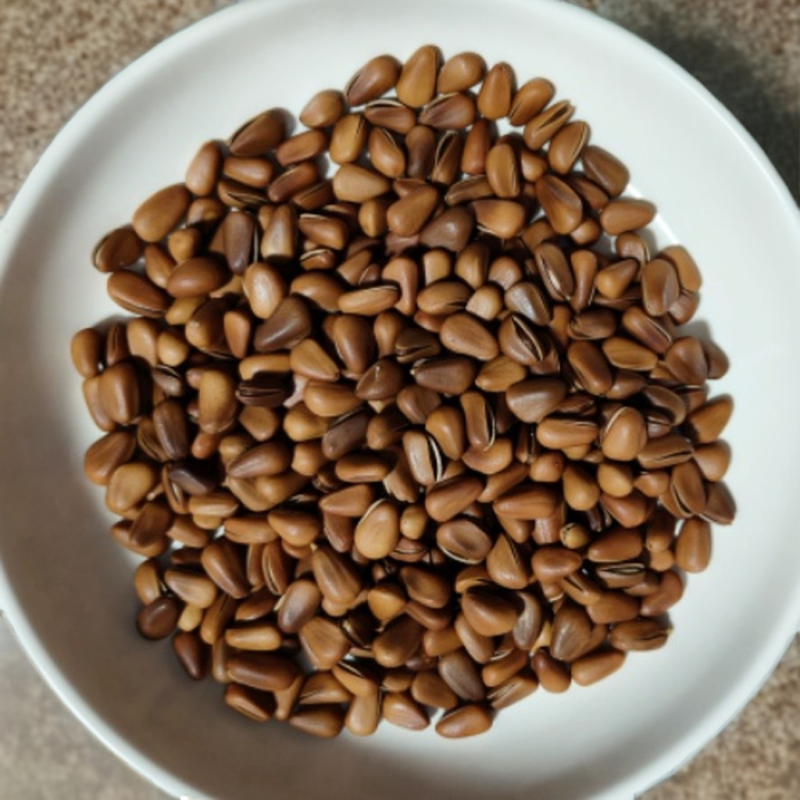 Organic Pine Nuts Manufacturer - Healthy Premium Snack