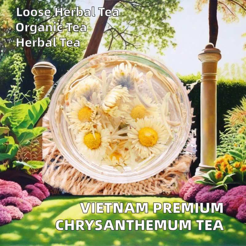 Ginseng Juice Supplier - Solvent Extracted Healthy