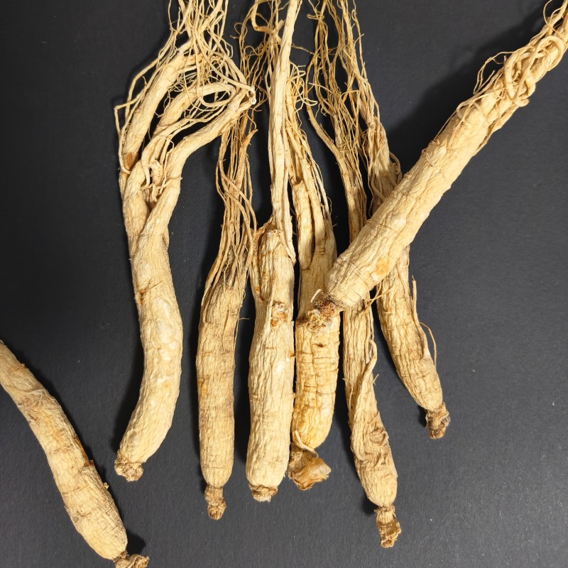 Raw Ginseng Supplier - Hot Selling Herbal