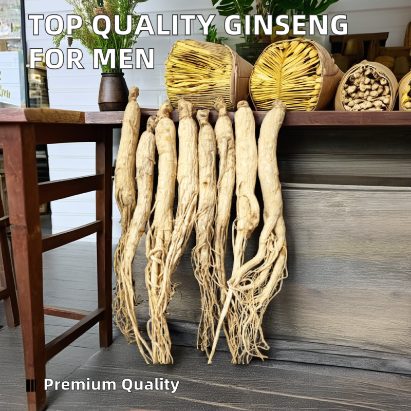 Ginseng Health Tea Manufacturer - Loose Leaf
