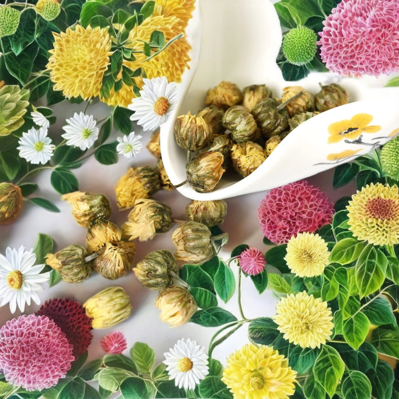 Fresh Ginseng Root Manufacturer - Quality Assurance