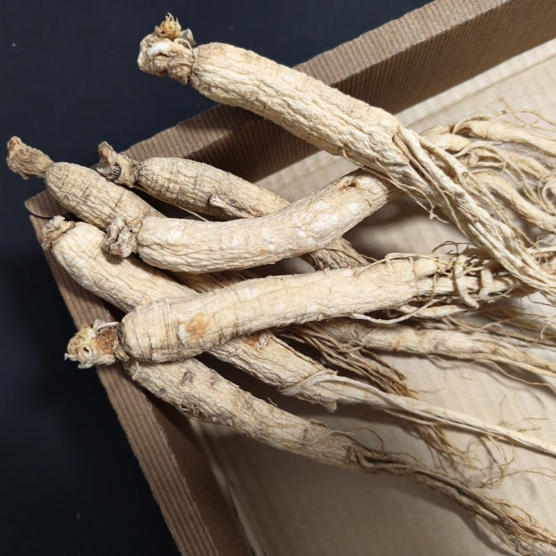 White Ginseng Root Factory - Dried Bitter Taste