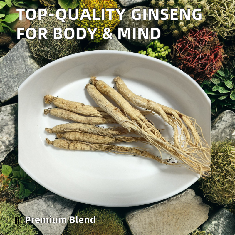 Whole Cranberries Supplier - Bulk Natural Preservation