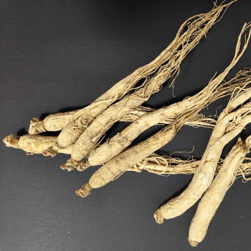 White Ginseng Factory - Special Offer Men