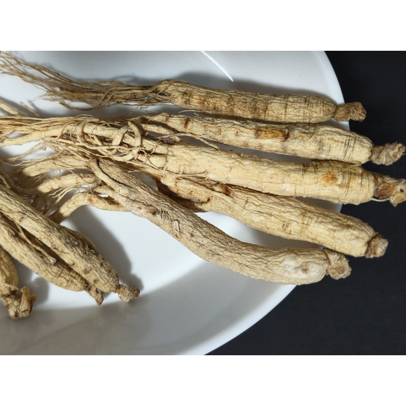 Panax Ginseng Root Supplier - Agriculture Product