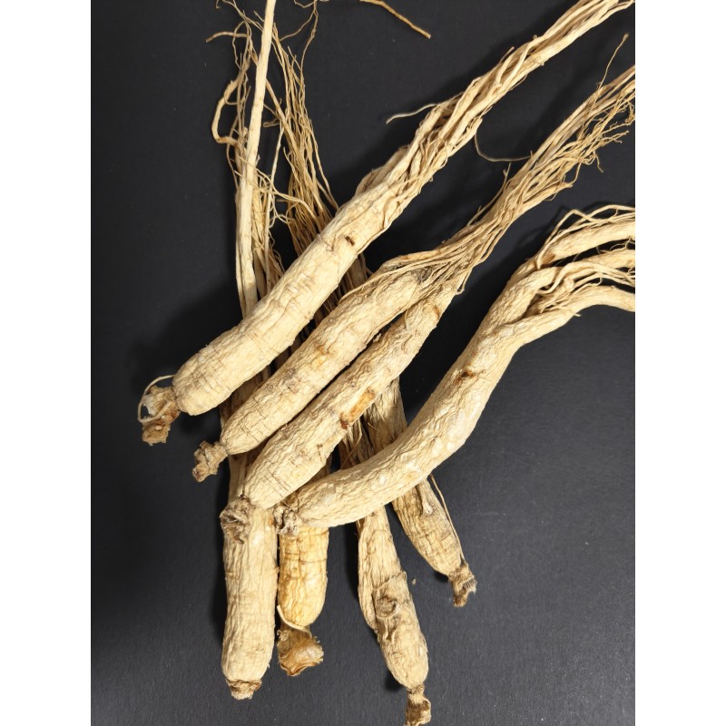 Raw Ginseng Supplier - Hot Selling Herbal