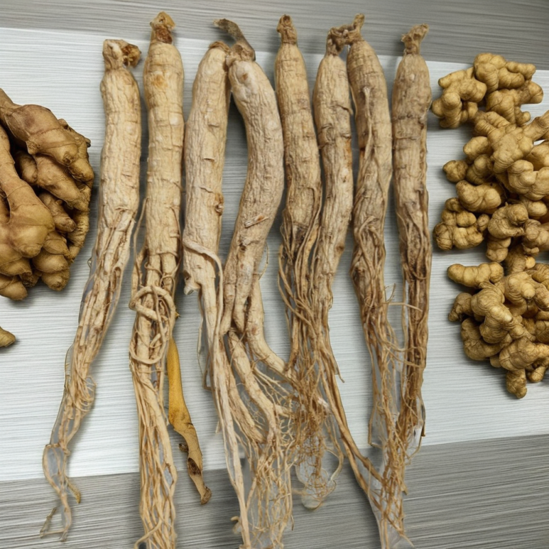 Panax Ginseng Root Supplier - Agriculture Product
