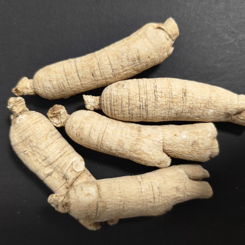White Ginseng Supplier - Solvent Extracted Food