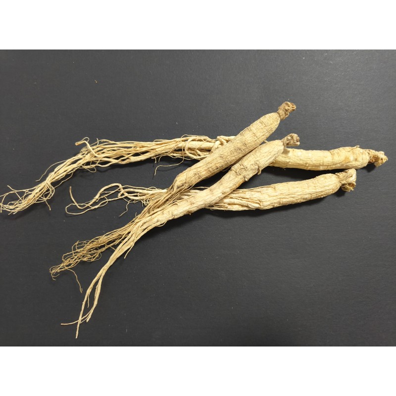 Raw Ginseng Supplier - Hot Selling Herbal