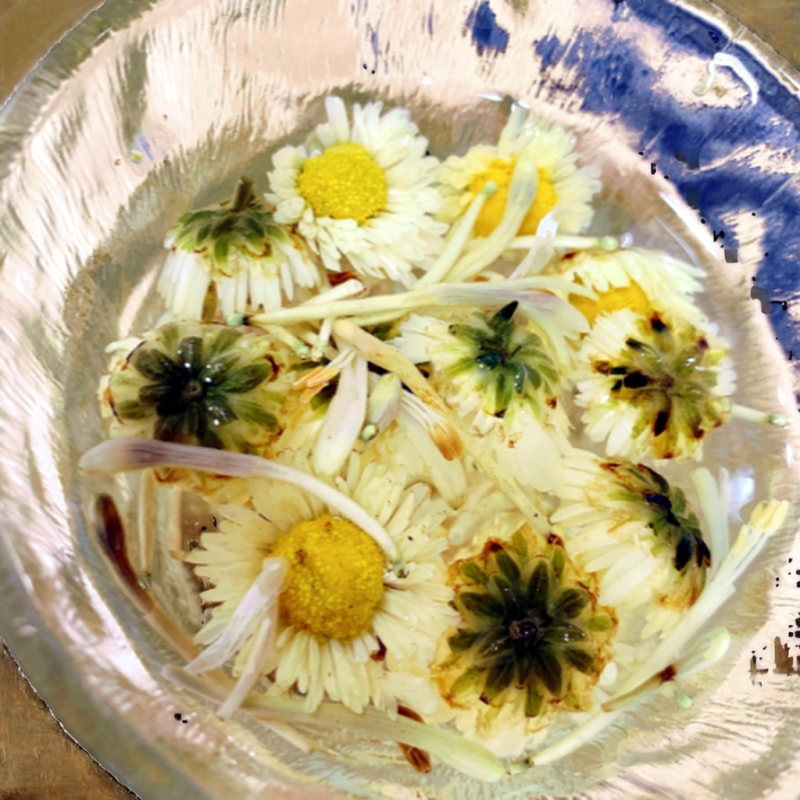 Ginseng Juice Supplier - Solvent Extracted Healthy