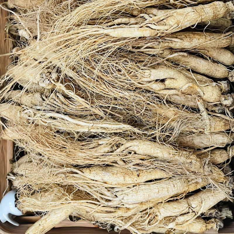 Chinese Peanuts Factory - High Quality Agriculture