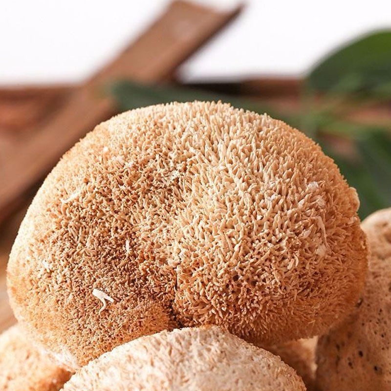 Dried Lion's Mane Mushroom Supplier - Whole Raw Custom