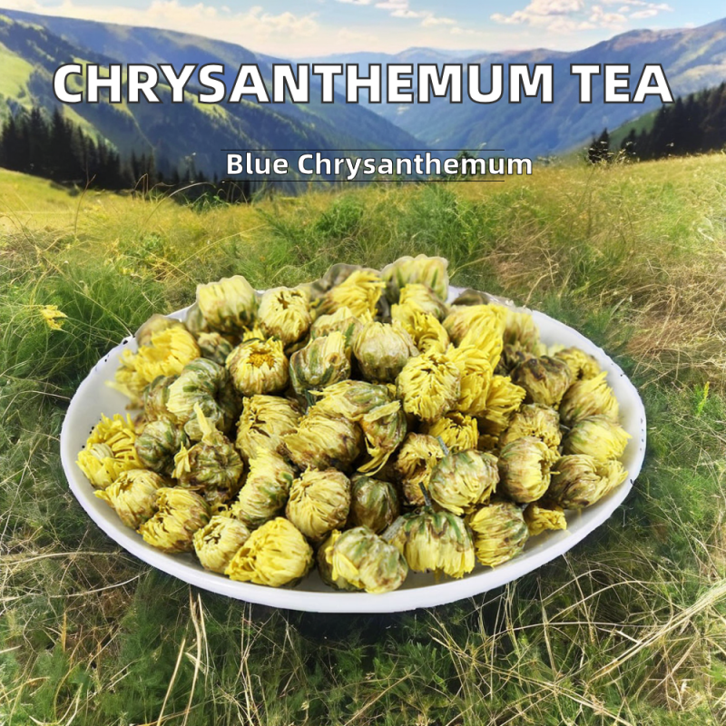 Fresh Ginseng Root Manufacturer - Quality Assurance