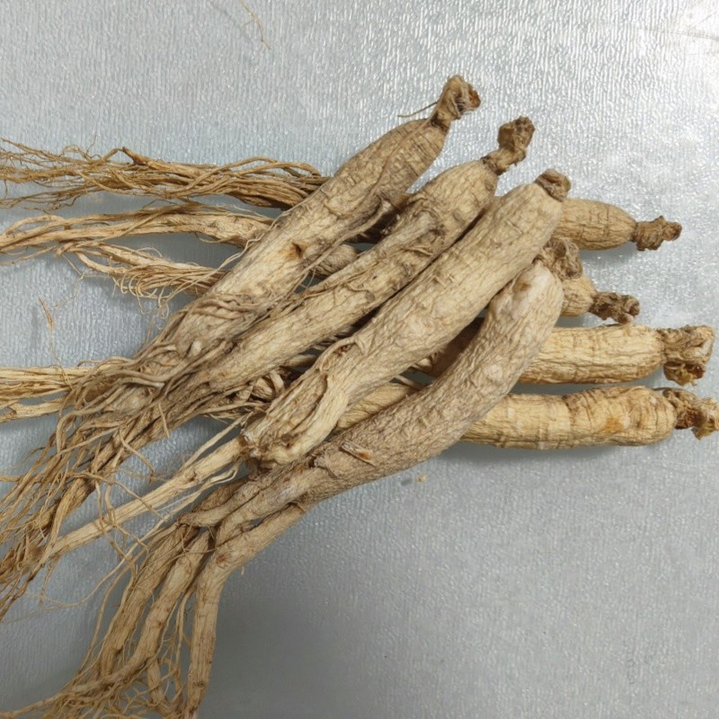 White Ginseng Stick Manufacturer - Fresh Trade Root