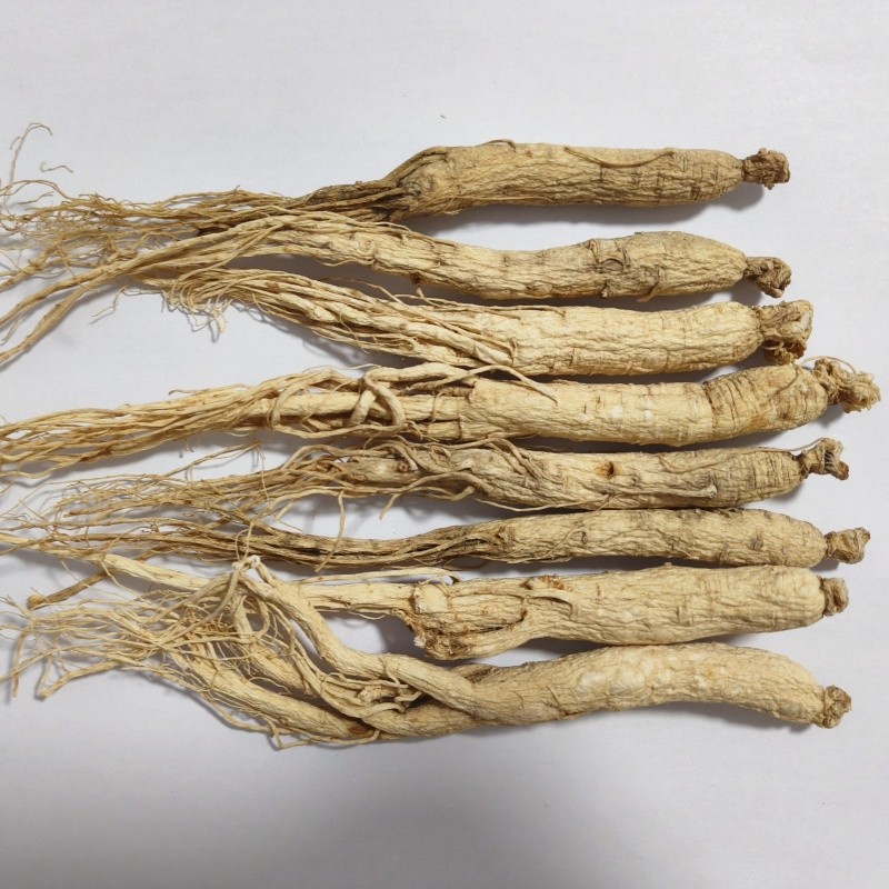 Dried Ginseng Root Factory - Wholesale Bag