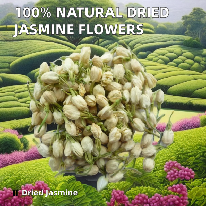 Organic Ginseng Root Manufacturer - Top Grade Quality