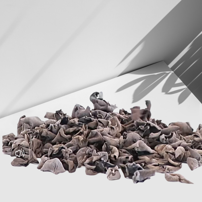 Dried Black Fungus Factory - Cultivated Raw Processing