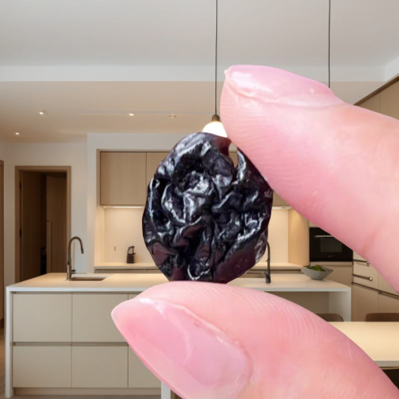 Dried Blueberries Factory - Bulk Vacuum Pack