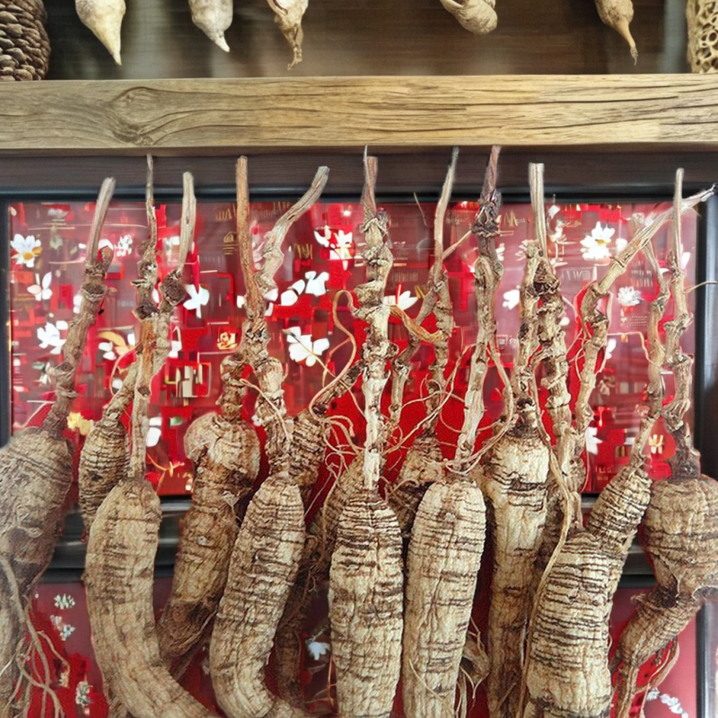 White Ginseng Root Manufacturer - Professional Supply