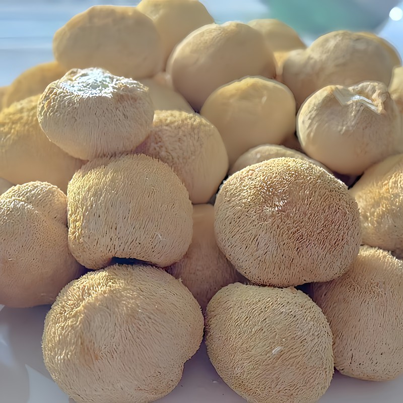 Lion's Mane Mushroom Supplier - Raw Air Dried Cultivated