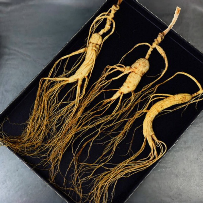 White Ginseng Factory - Wholesale Food Grade