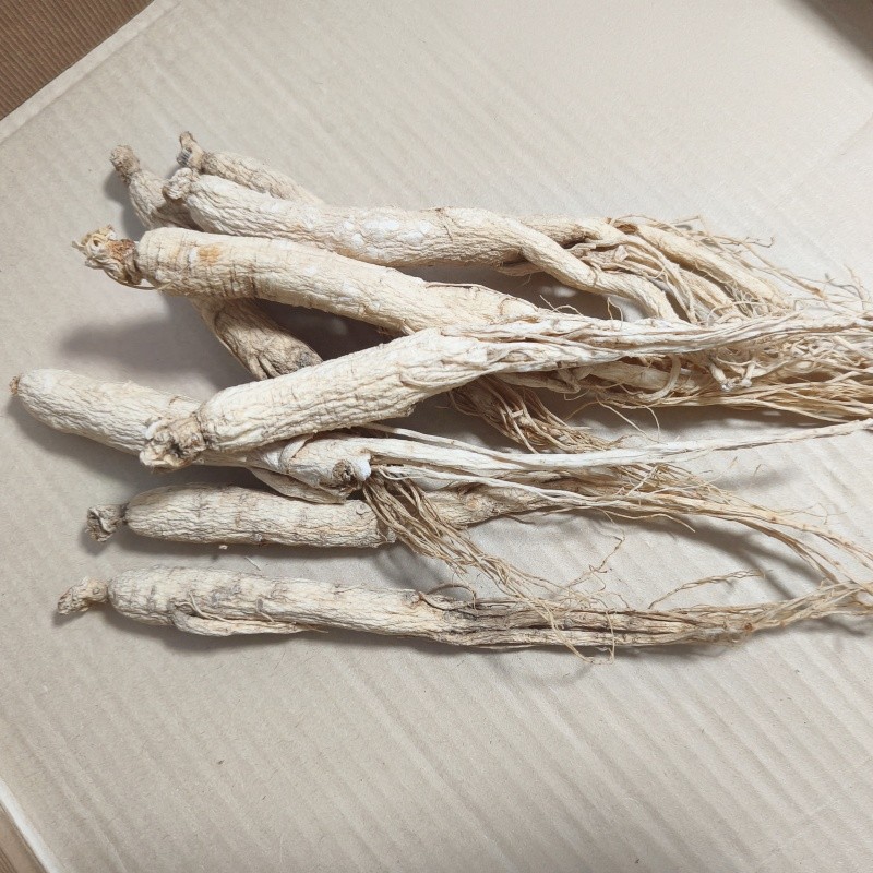 Dried Ginseng Root Manufacturer - 6 Year Old