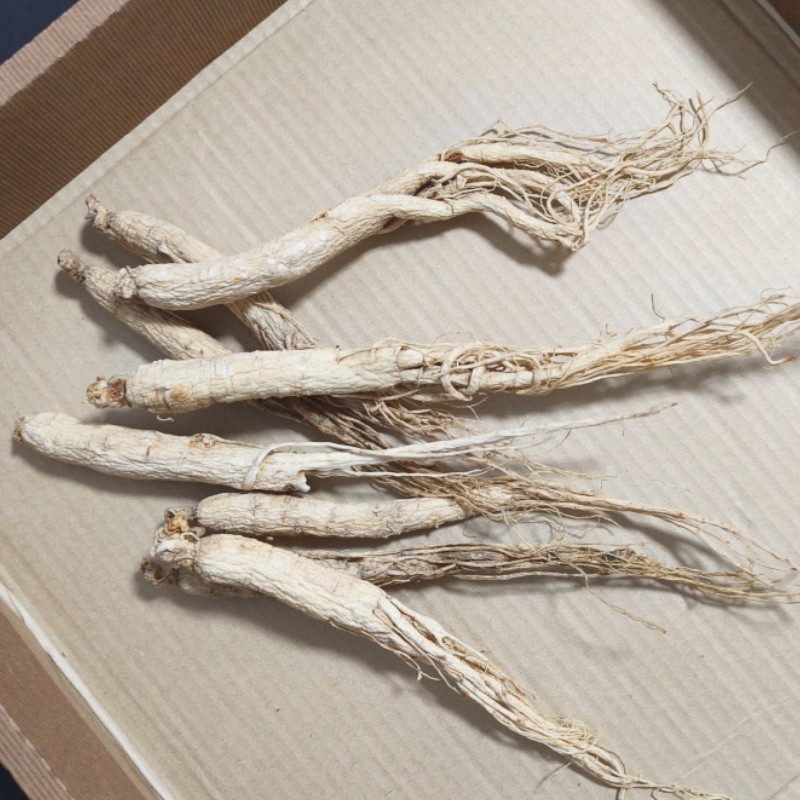 Changbai Mountain Ginseng Supplier - Natural Power