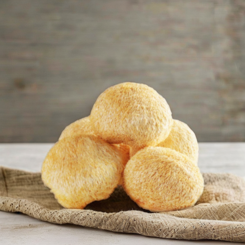 Hericium Erinaceus Mushrooms Supplier - Organic Dried Raw