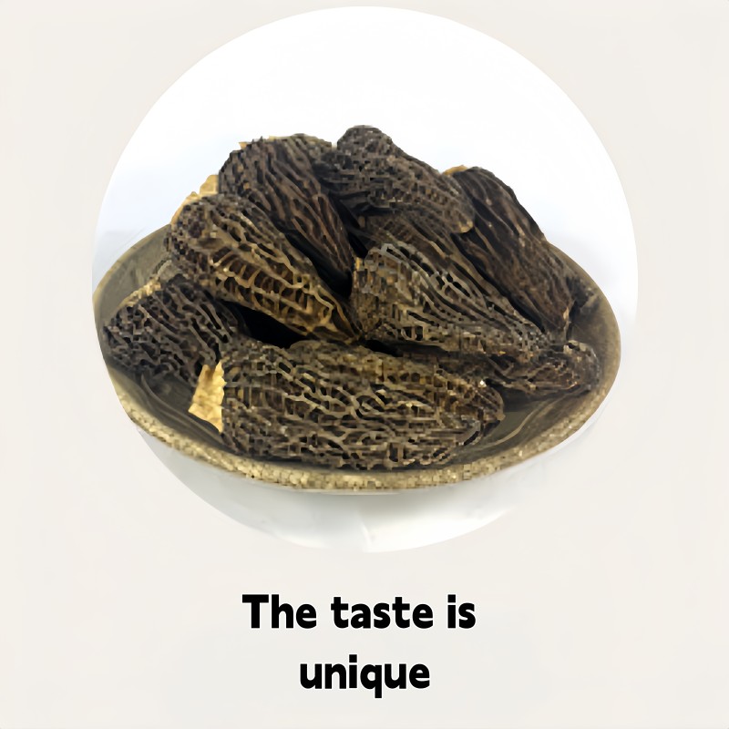 Dried Morel Mushrooms Supplier - Wild Natural Single