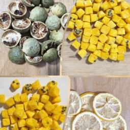 Chrysanthemum Buds Tea Factory - Organic Dried Flower