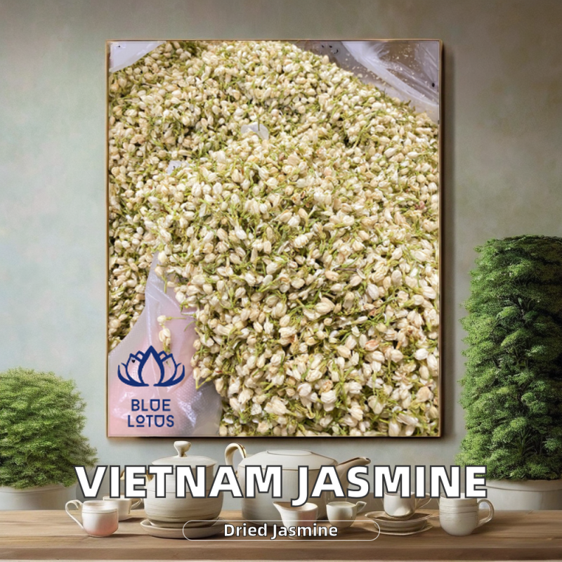 Ginseng Root Supplier - Men Health Bulk Box