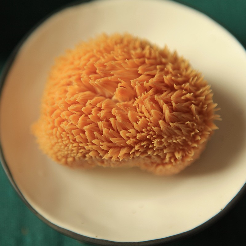 Dried Lion's Mane Mushroom Supplier - Whole Raw Custom