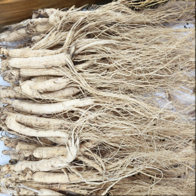 White Ginseng Root Supplier - Direct Sale Food Grade