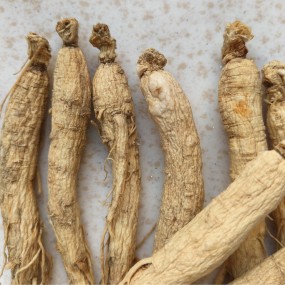 Jilin Pine Nuts Supplier - Roasted Nutrient Rich