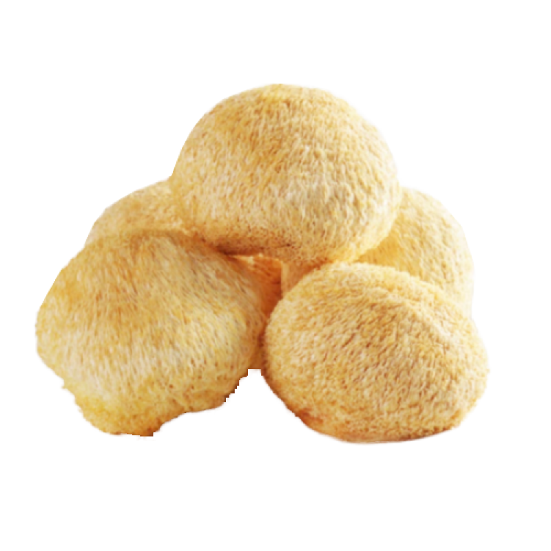 Hericium Erinaceus Mushrooms Supplier - Organic Dried Raw