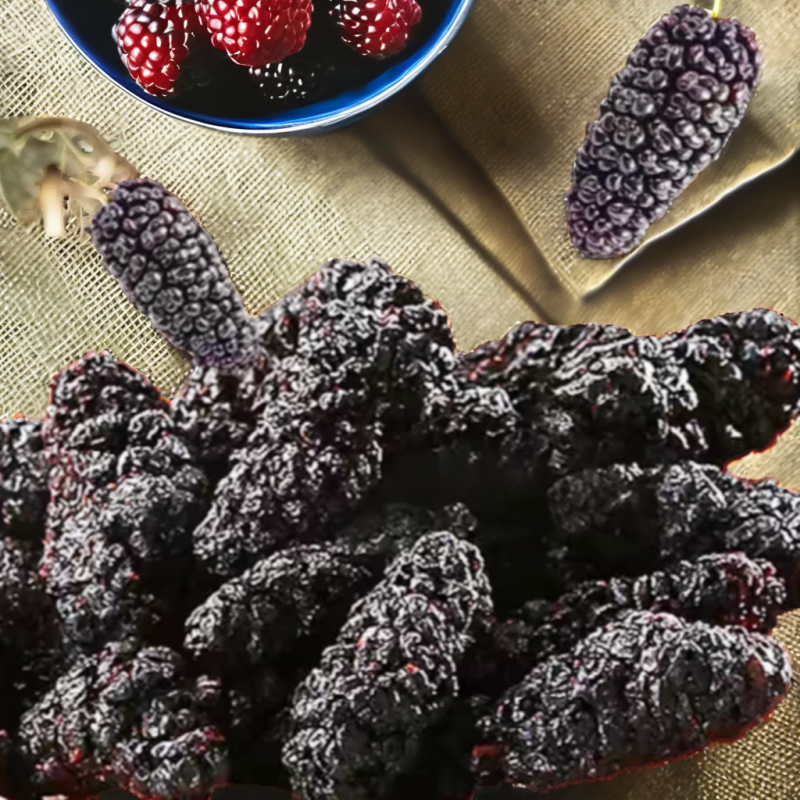 Organic Pine Nuts Factory - 24 Months Shelf Life