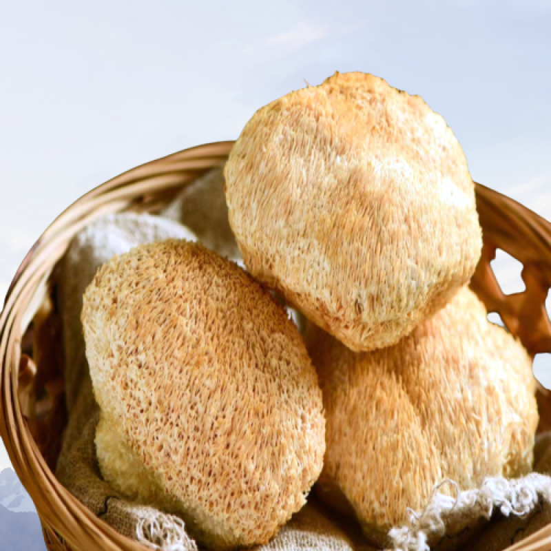 Hericium Erinaceus Mushrooms Supplier - Organic Dried Raw