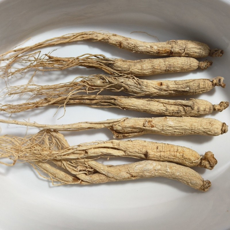 White Ginseng Root Factory - Dried Bitter Taste