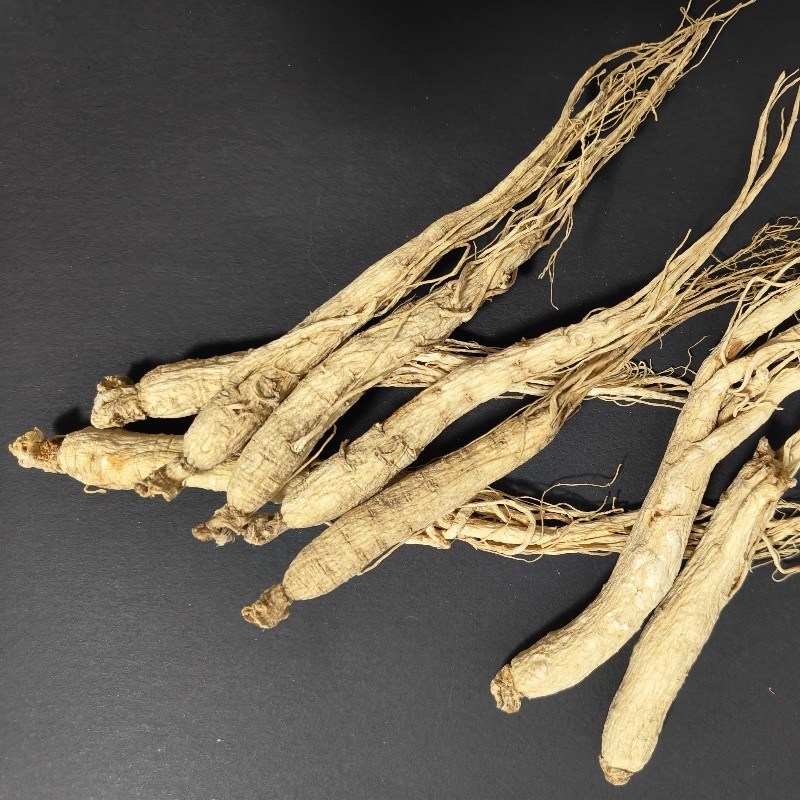 White Ginseng Stick Manufacturer - Fresh Trade Root