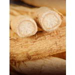 Cultivated Ginseng