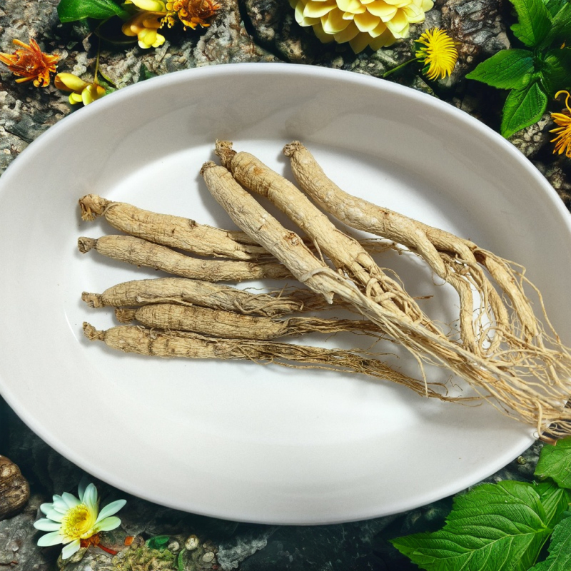 Whole Cranberries Supplier - Bulk Natural Preservation